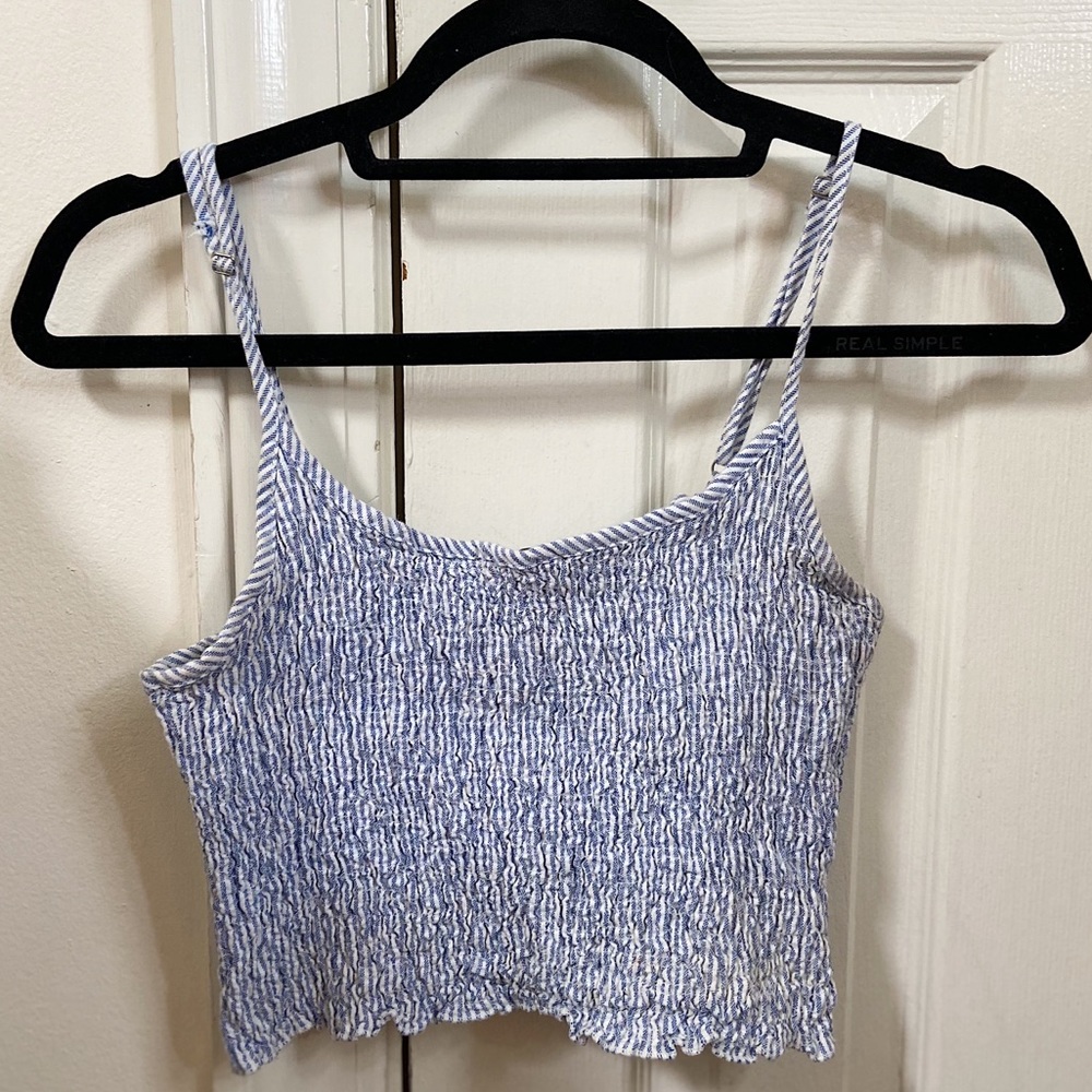 Brandy Melville blue and white ruched crop top
